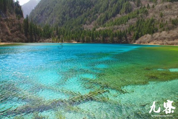 年味渐浓，江苏省各地多举措促进春节消费