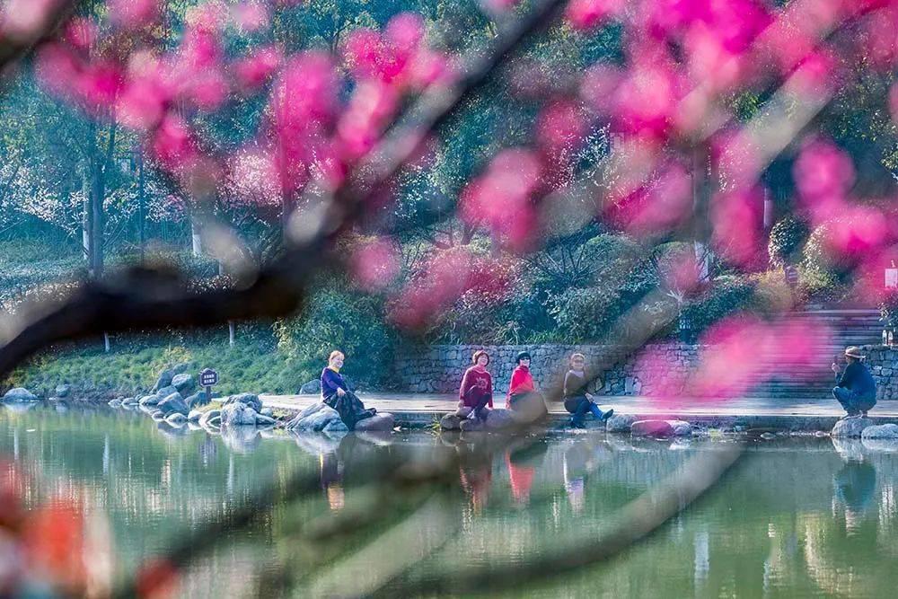 二刷《繁花》,看懂爷叔房间里的报纸,就知他为何跟汪小姐过不去