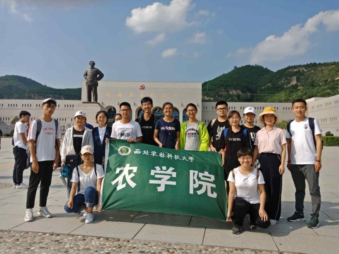 深度问答,尽在如何做出好吃美味的口水鸡?蜗牛