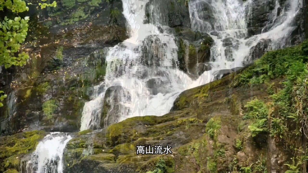 救援快乐的兔子